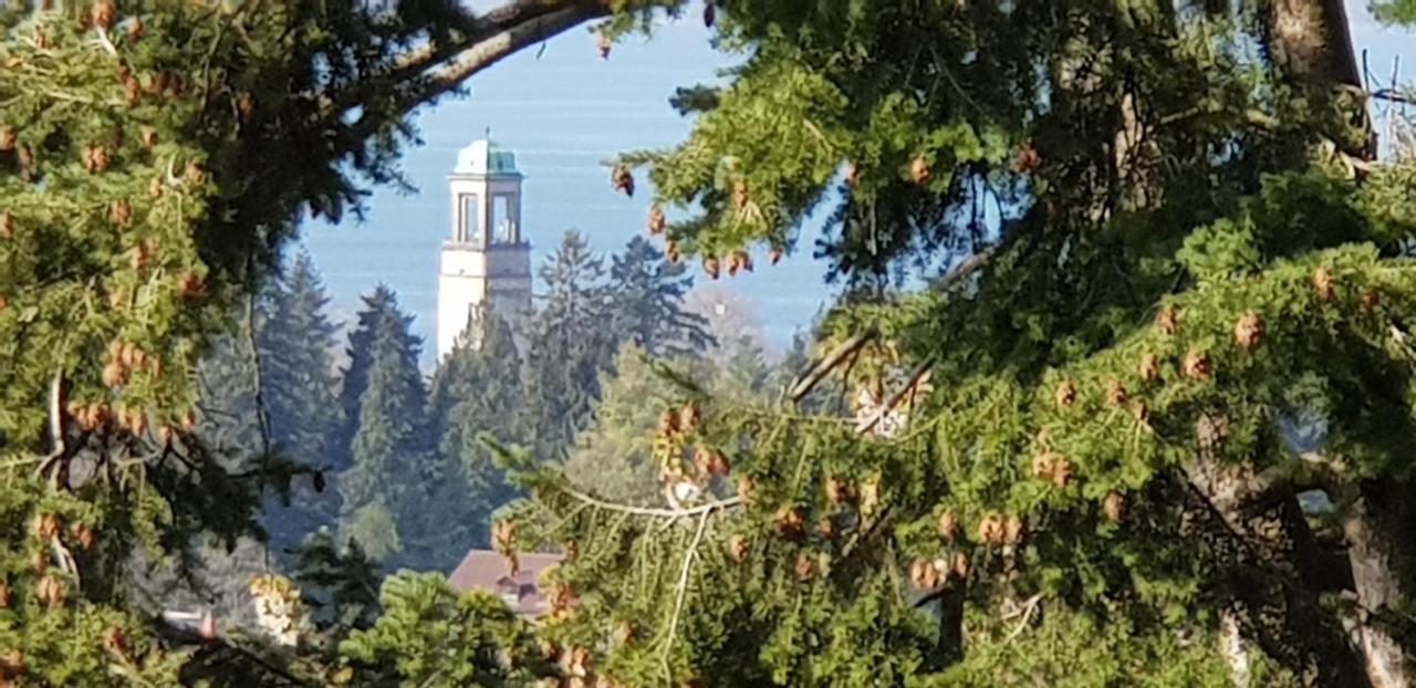 Alpenblick 3 Apartment Bodolz Екстериор снимка