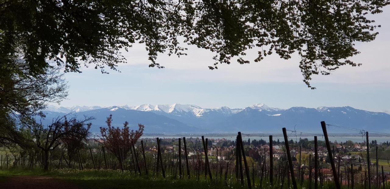 Alpenblick 3 Apartment Bodolz Екстериор снимка